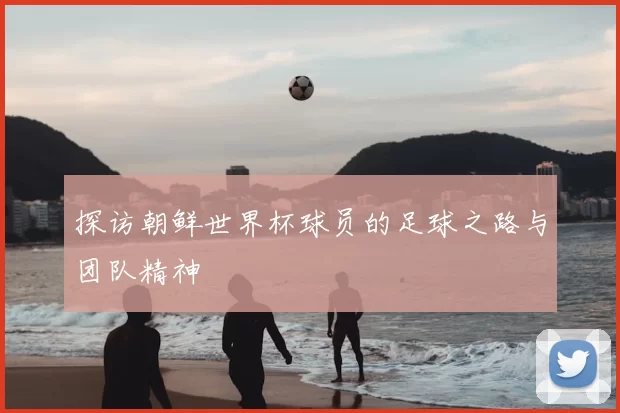 探访朝鲜世界杯球员的足球之路与团队精神