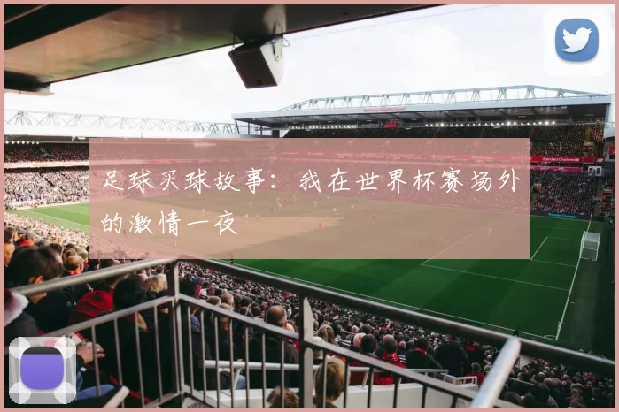 足球买球故事:我在世界杯赛场外的激情一夜