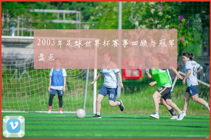 2003年足球世界杯赛事回顾与冠军盘点
