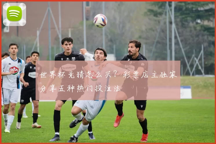 世界杯竞猜怎么买?彩票店主独家分享五种热门投注法