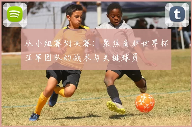 从小组赛到决赛:聚焦南非世界杯亚军团队的战术与关键球员