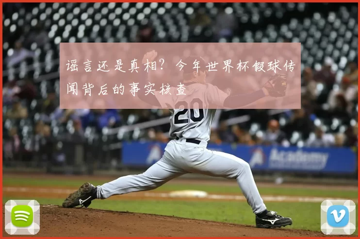 谣言还是真相？今年世界杯假球传闻背后的事实核查