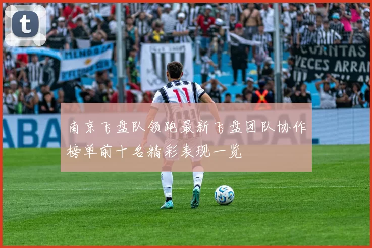 南京飞盘队领跑最新飞盘团队协作榜单前十名精彩表现一览