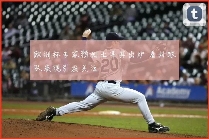 欧洲杯专家预测土耳其出炉 看好球队表现引发关注