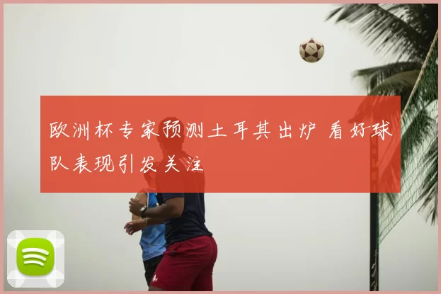 欧洲杯专家预测土耳其出炉 看好球队表现引发关注